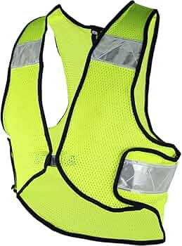 61mKAO+AwlL._AC_UF350,